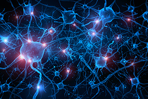 Image of neurones forming networks.
